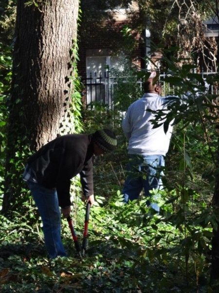 Two volunteers working together with garden tools to clean up Oberlin Cemetery.
