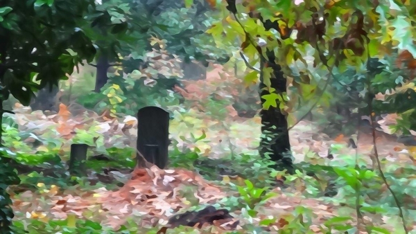 Watercolor painting effect of trees and headstones at Oberlin Cemetery.
