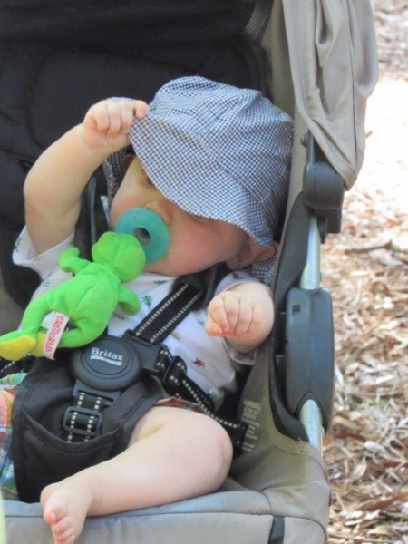 A young baby in a stroller with a green toy pacifier in its mouth.